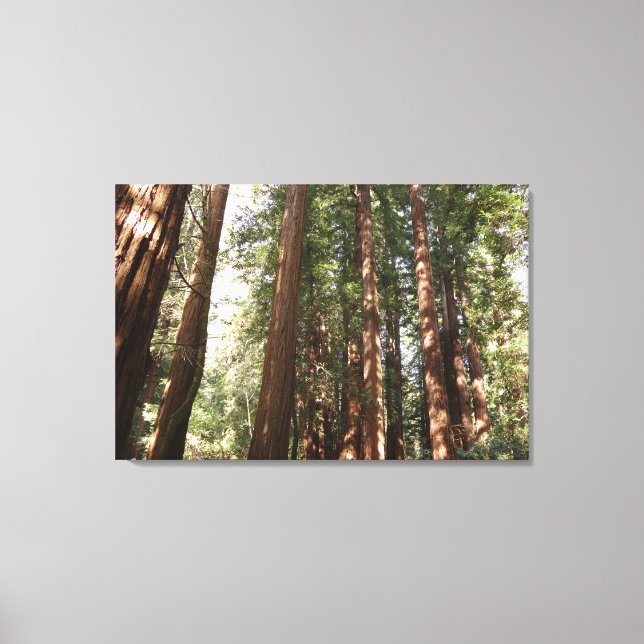 Toile Jusqu'à Redwoods II au monument national de Muir W (Recto)