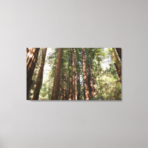 Toile Jusqu'aux séquoias II à Muir Woods National Monume