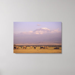 Toile Kenya : Parc national d'Amboseli, Eléphants