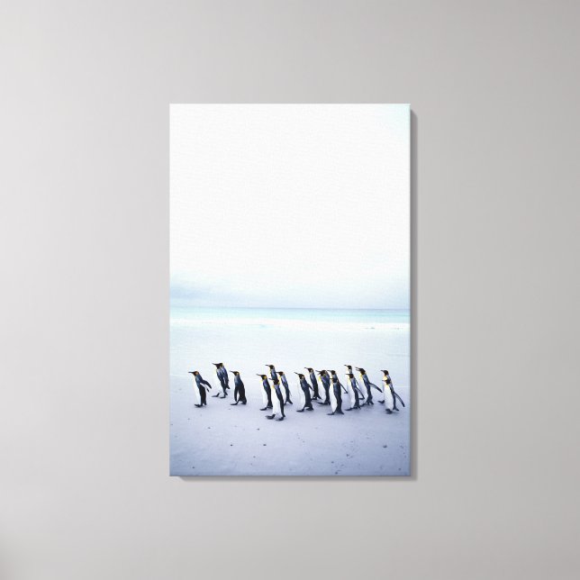 Toile King pingouins (Recto)