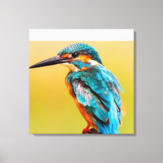 Toile Kingfisher At Dawn Canvas Imprimer