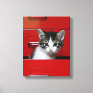 Toile Kitten Peeking