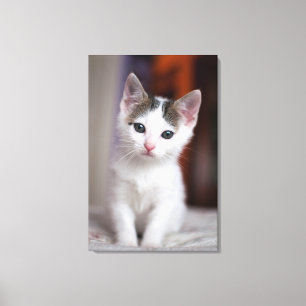 Toile Kitty tacheté blanc