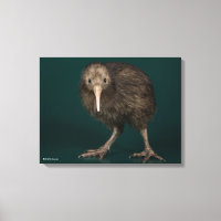 Kiwi Brown de North Island