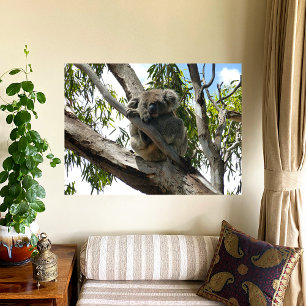 Toile Koala - Dormir