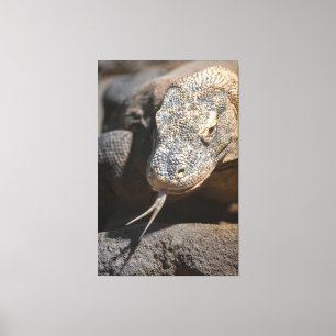 Toile Komodo Dragon Sticking Out Sa Langue