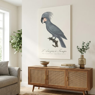 Toile L’Ara gris à Trompe / Cockatoo Palm gris