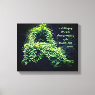 Toile La Beauté Dans La Nature Vine Citation Inspirante