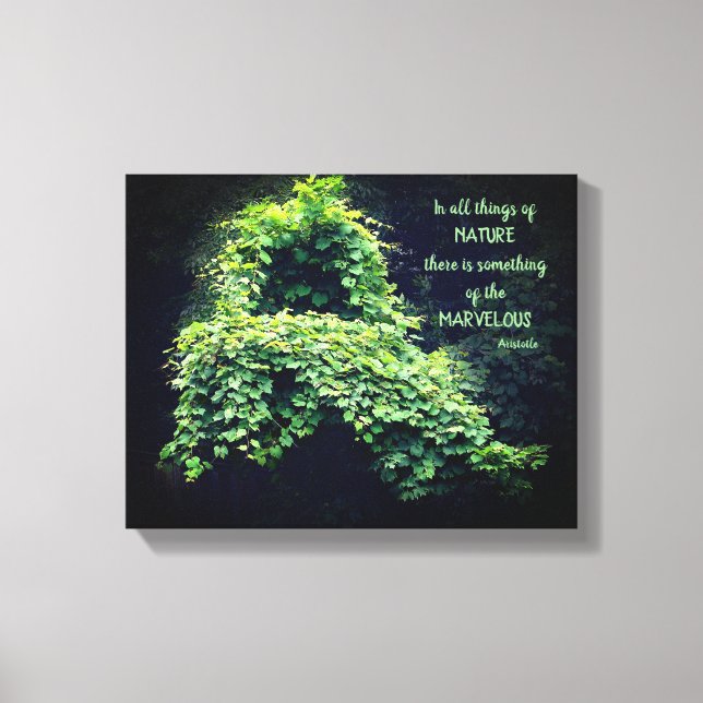 Toile La Beauté Dans La Nature Vine Citation Inspirante (Recto)
