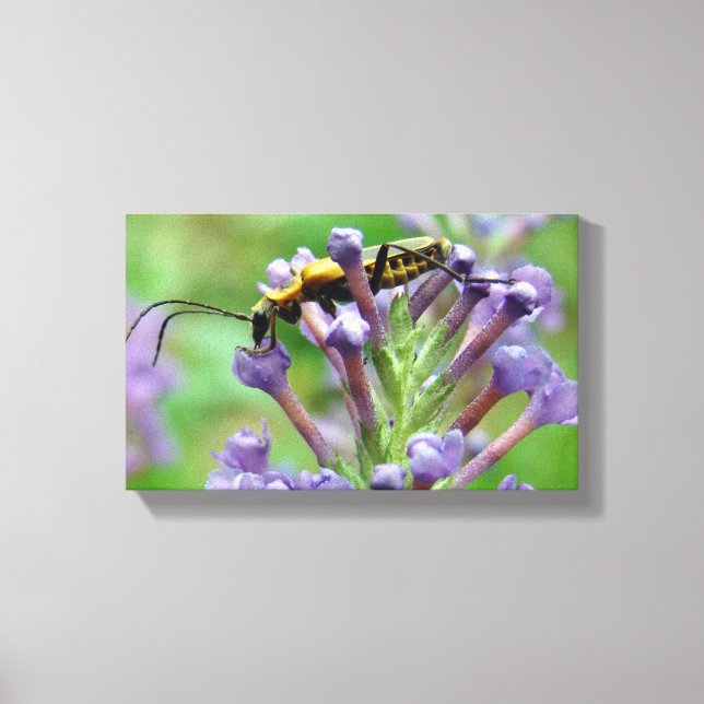 Toile La foudre ! (Recto)