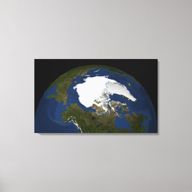 Toile La glace de mer arctique en 2005 (Recto)
