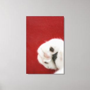 Toile La patte du chat