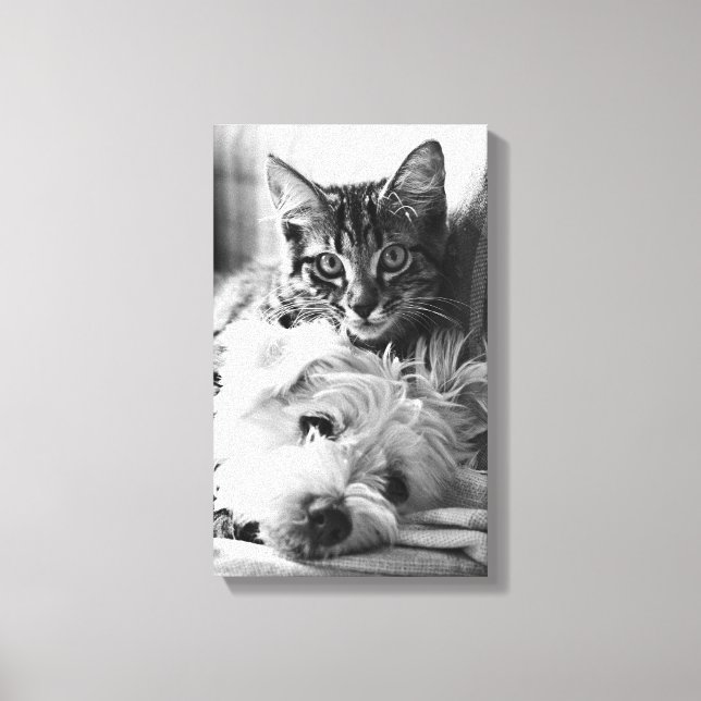 Toile La photographie du meilleur des amis (Recto)