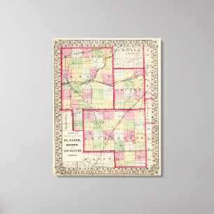 Toile La Salle, Grundy, comtés de Livingston