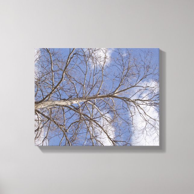 Toile La Sycamore Stately Indiana (Recto)