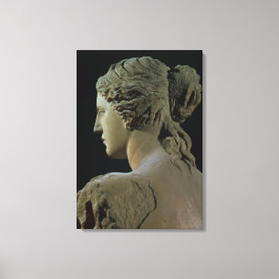 Toile La Vénus de Milo, détail du dos de la tête, Hel