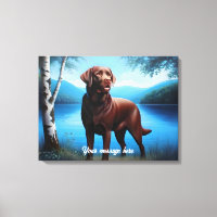 Labrador chocolat et lac bleu