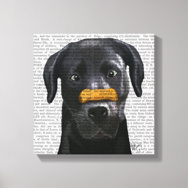 Toile Labrador noir avec os sur le nez (Recto)