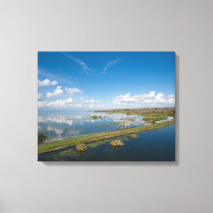 Toile Lac Apopka Floride