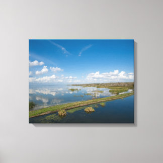 Toile Lac Apopka Floride