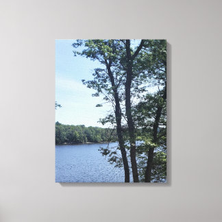 Toile Lac Nokomis 1