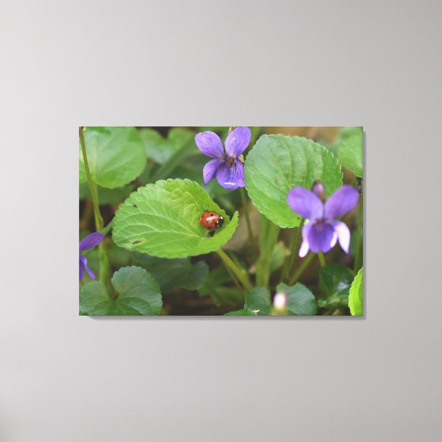 Toile Ladybug sur les fleurs de violet doux (Recto)