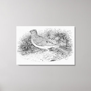 Toile L'alouette
