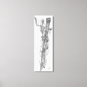 Toile lame crânienne 2