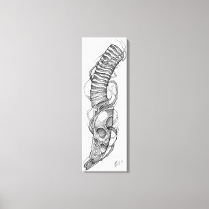 Toile lame crânienne 4