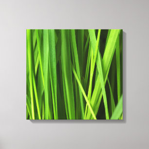 Toile Lames d'herbe