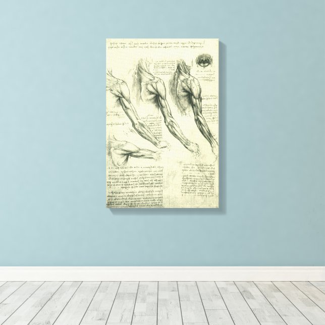 Toile L'anatomie du bras et de l'épaule de Léonard de Vi (Insitu (Plancher de Bois))