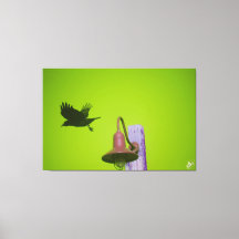 Langley Crow sur la série de la poste légère #5