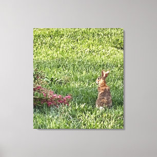 Toile Lapin dans l'herbe - La photographie nature paisib
