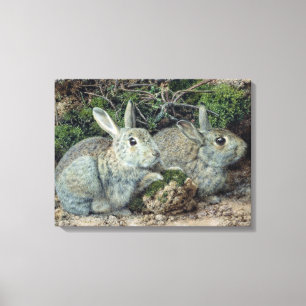 Toile Lapins