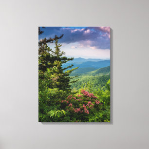 Toile Laurier de montagne au lever du soleil
