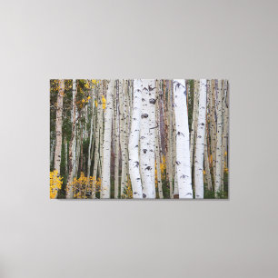 Toile L'automne dans le Aspen's