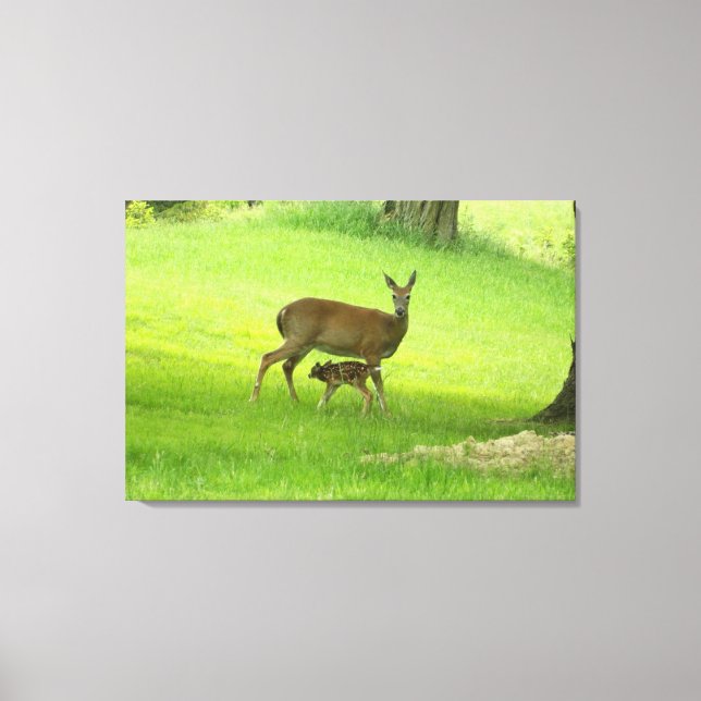 Toile Le cerf de Virginie (Doe) et Fawn (Recto)
