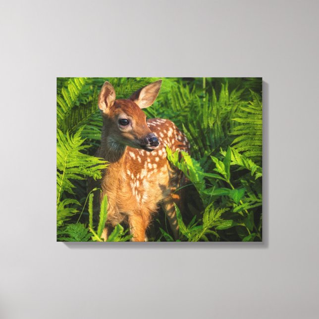 Toile Le cerf de Virginie | Minnesota (Recto)