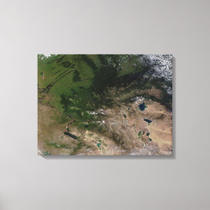 Toile Le changement de la végétation