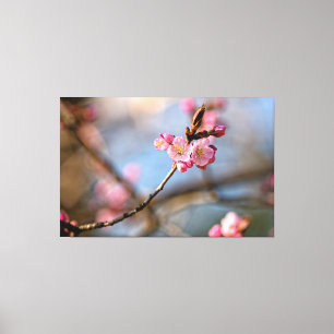 Toile Le cool Sakura Flowers Contre L'Arrière - plan Gri