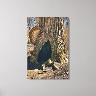 Toile Le Creux Curieux 20x30