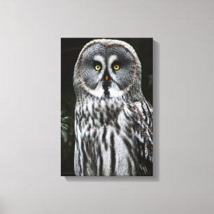 Toile Le grand hibou gris 11x16,5 (27,5x41,25cm) waccna