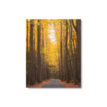 Le long de la route