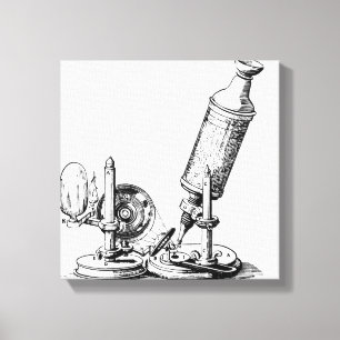 Toile Le microscope de Robert Hooke