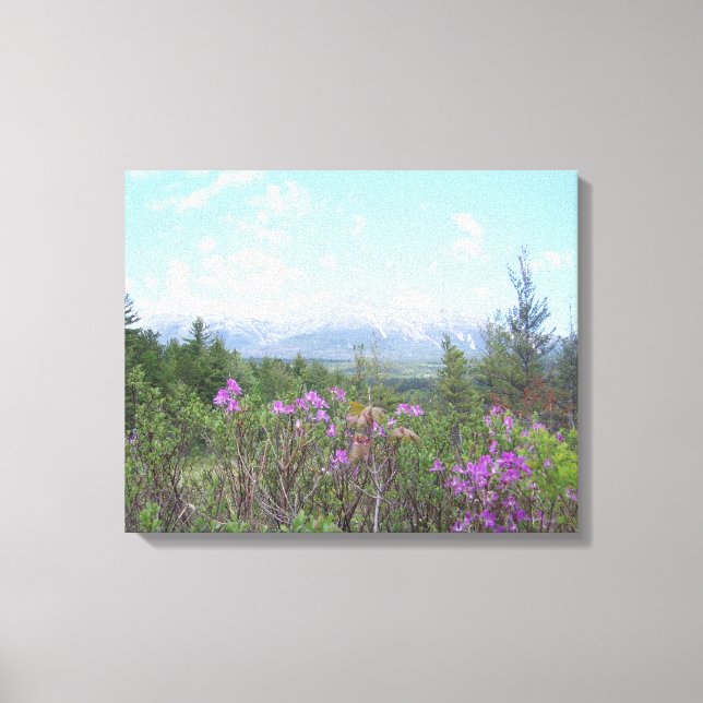 Toile Le mont Katahdin et les fleurs sauvages (Recto)