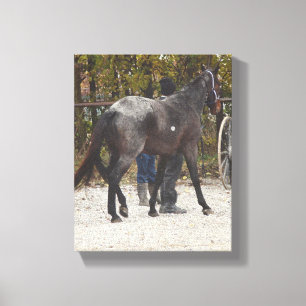 Toile Le Nouveau Cheval