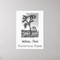 Le Parc national de Joshua Trees