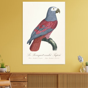 Toile Le Perroquet cendre Tapire