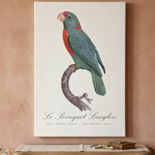 Toile Le Perroquet Langlois de Jacques Barraband