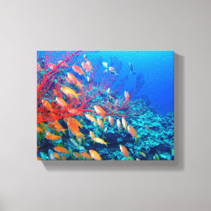 Toile Le récif corallien sous-marin de poissons tropica
